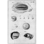 Cassebohm, J. F.: Tractatus quatuor anatomici + Zinn, Johann Gottfried. D...