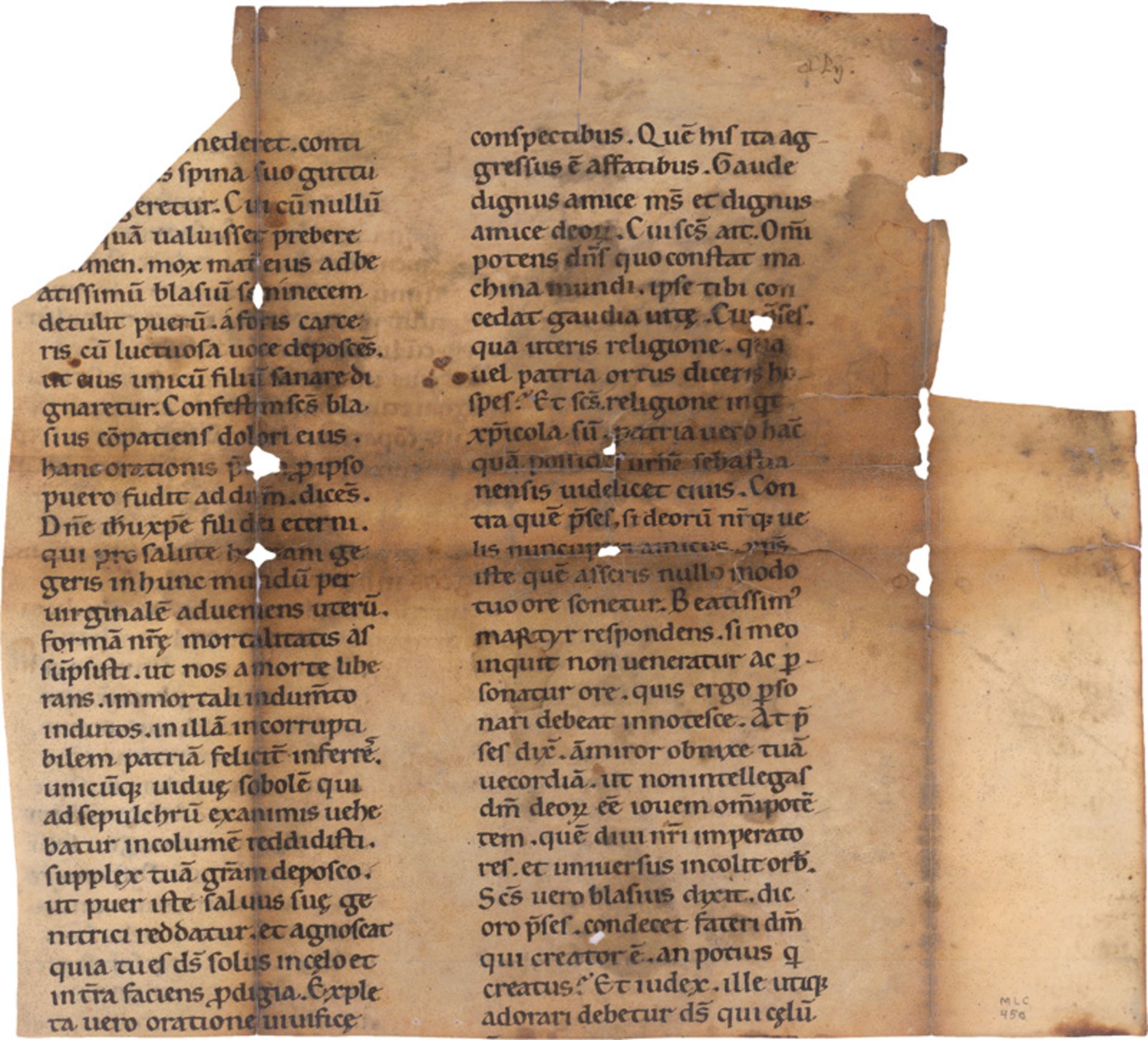 Vita Sancti Blasii: Einzelblatt einer lateinische Handschrift auf Pergament....