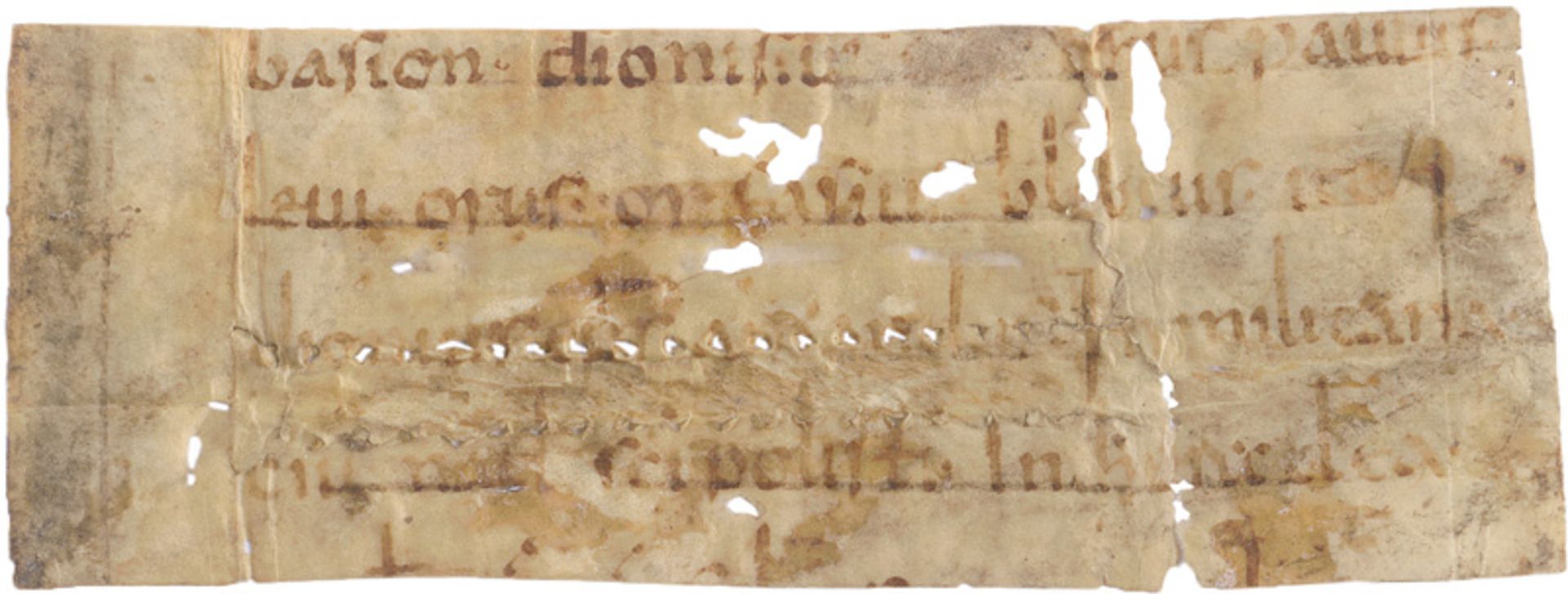 Martyrologium hieronymianum: Fragment eines Blattes einer lateinischen Handschrift au...