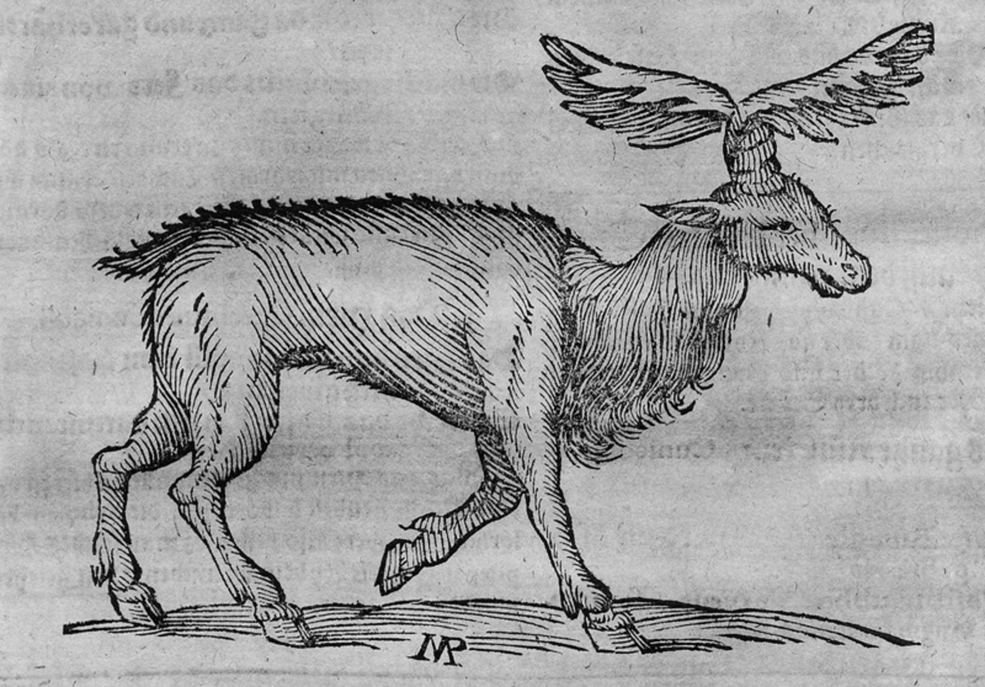 Becher, Johann Joachim: Parnassus medicinalis illustratus
