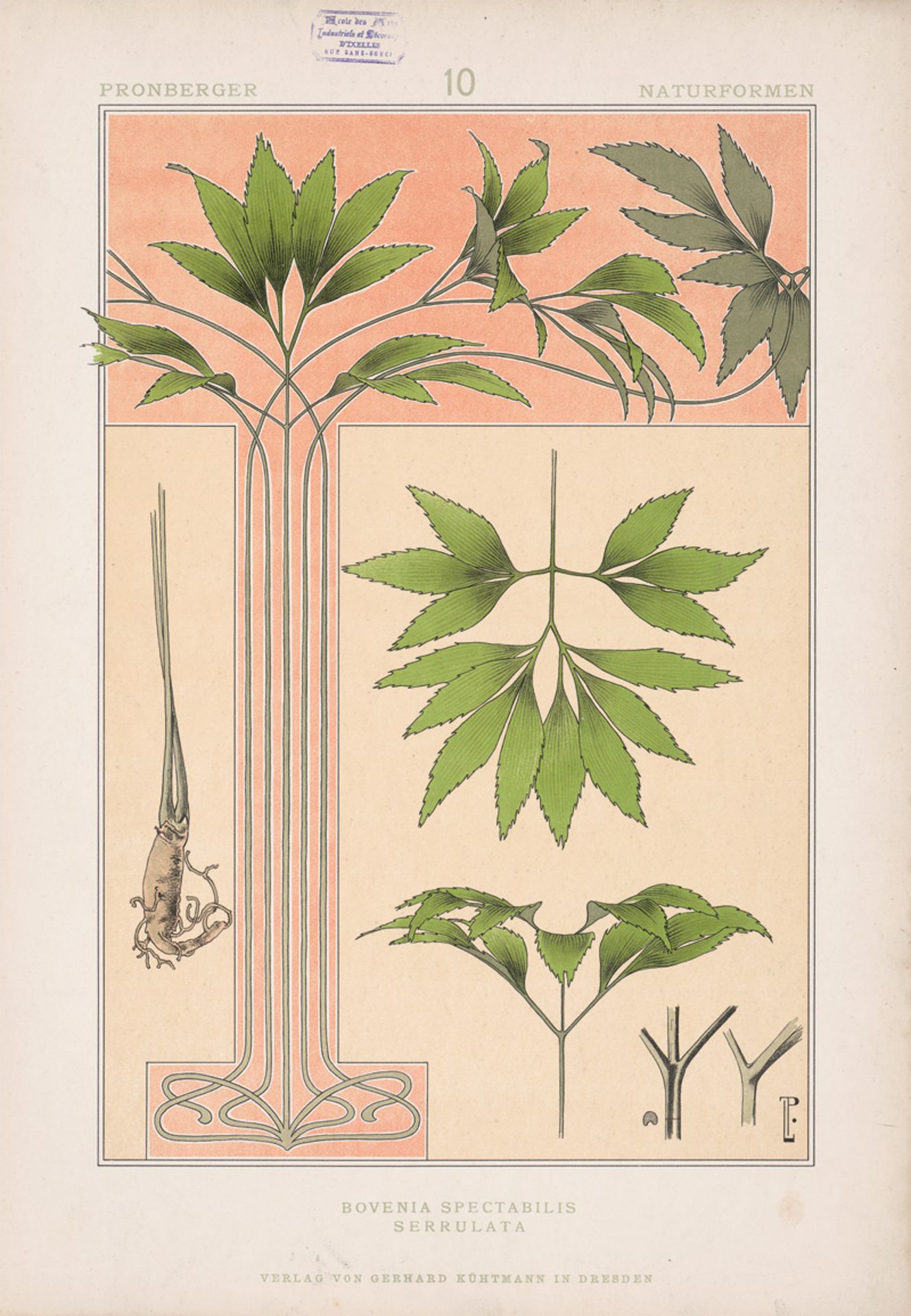 Pronberger, Ludwig: Seltene Naturformen