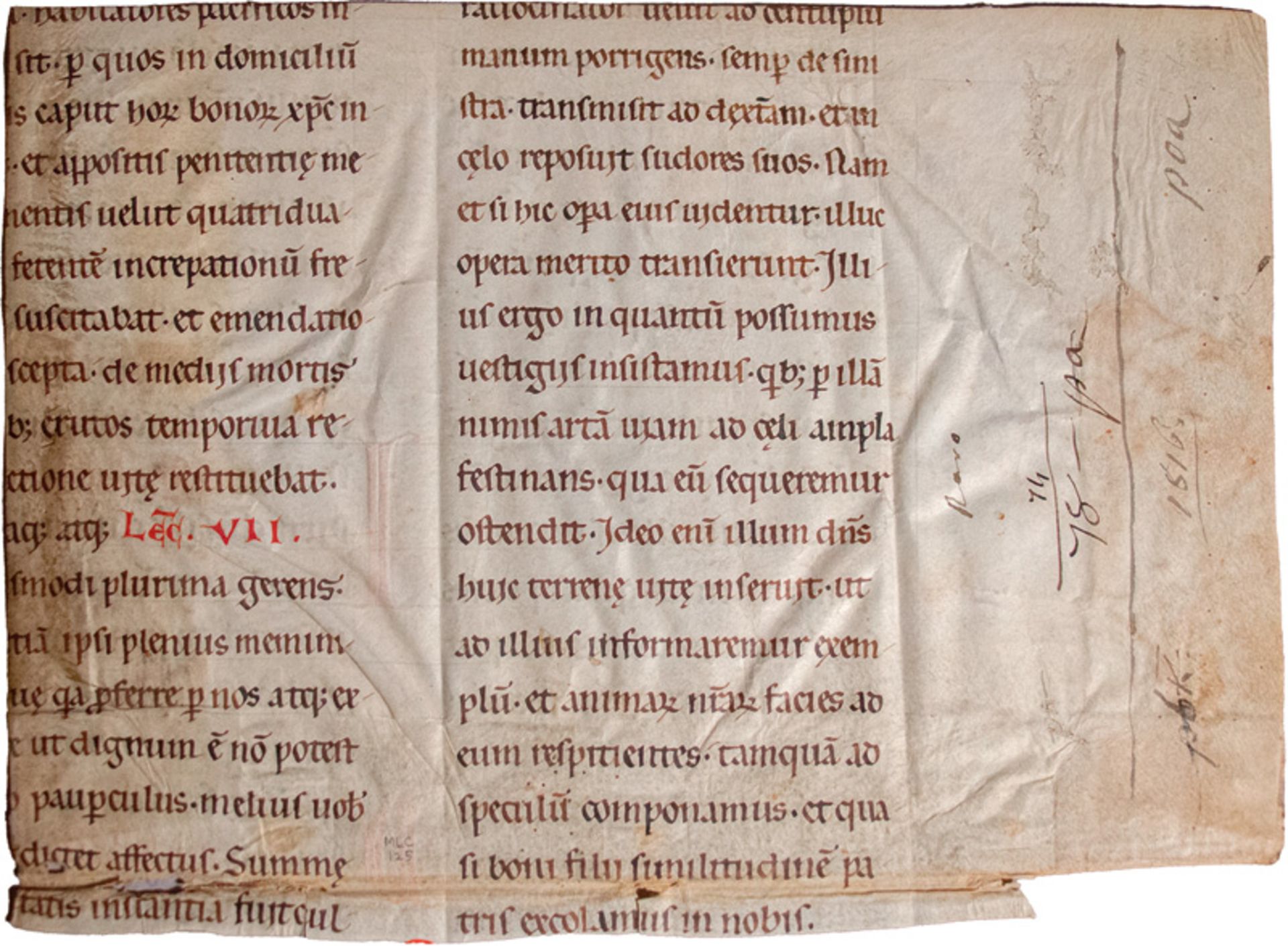 Homililiarium: Fragment eines Einzelblattes aus einer Handschrift in la... - Image 2 of 2