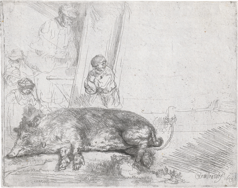 Rembrandt Harmensz. van Rijn: Das schlafende Schwein
