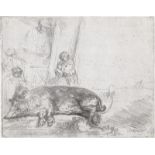 Rembrandt Harmensz. van Rijn: Das schlafende Schwein