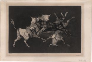 Goya, Francisco de: Disparate de Tontos - "Lluvia de Toros (Pluie de taureau...
