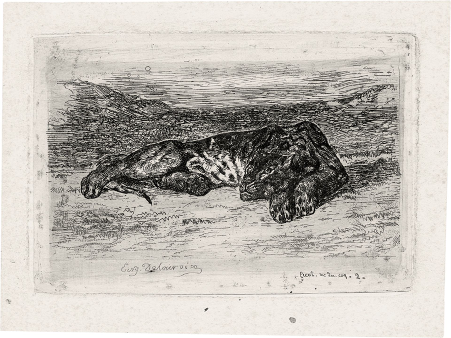 Delacroix, Eugène: Liegender Löwe in der Wüste