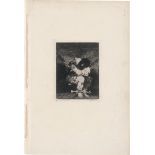 Goya, Francisco de: Der kleine Gefangene