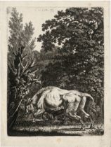 Kolbe, Carl Wilhelm: Walddickicht, vor dem ein Stier nach links springt
