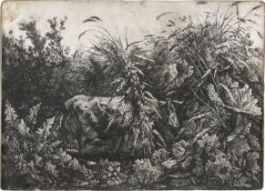 Kolbe, Carl Wilhelm: Die Kuh im Sumpfe