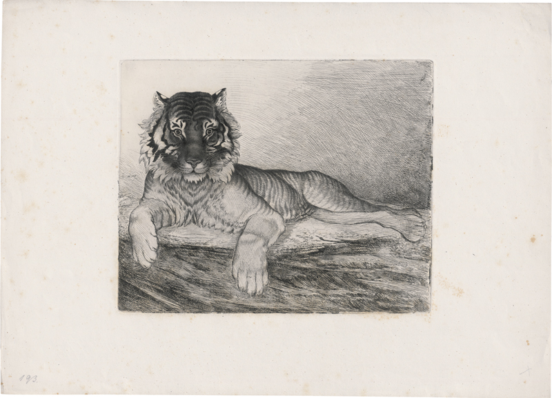 Grimm, Ludwig Emil: Tiger