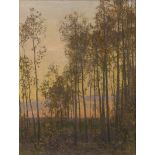 Gritsai, Aleksei Mikhailovich: Espenwald bei Sonnenuntergang