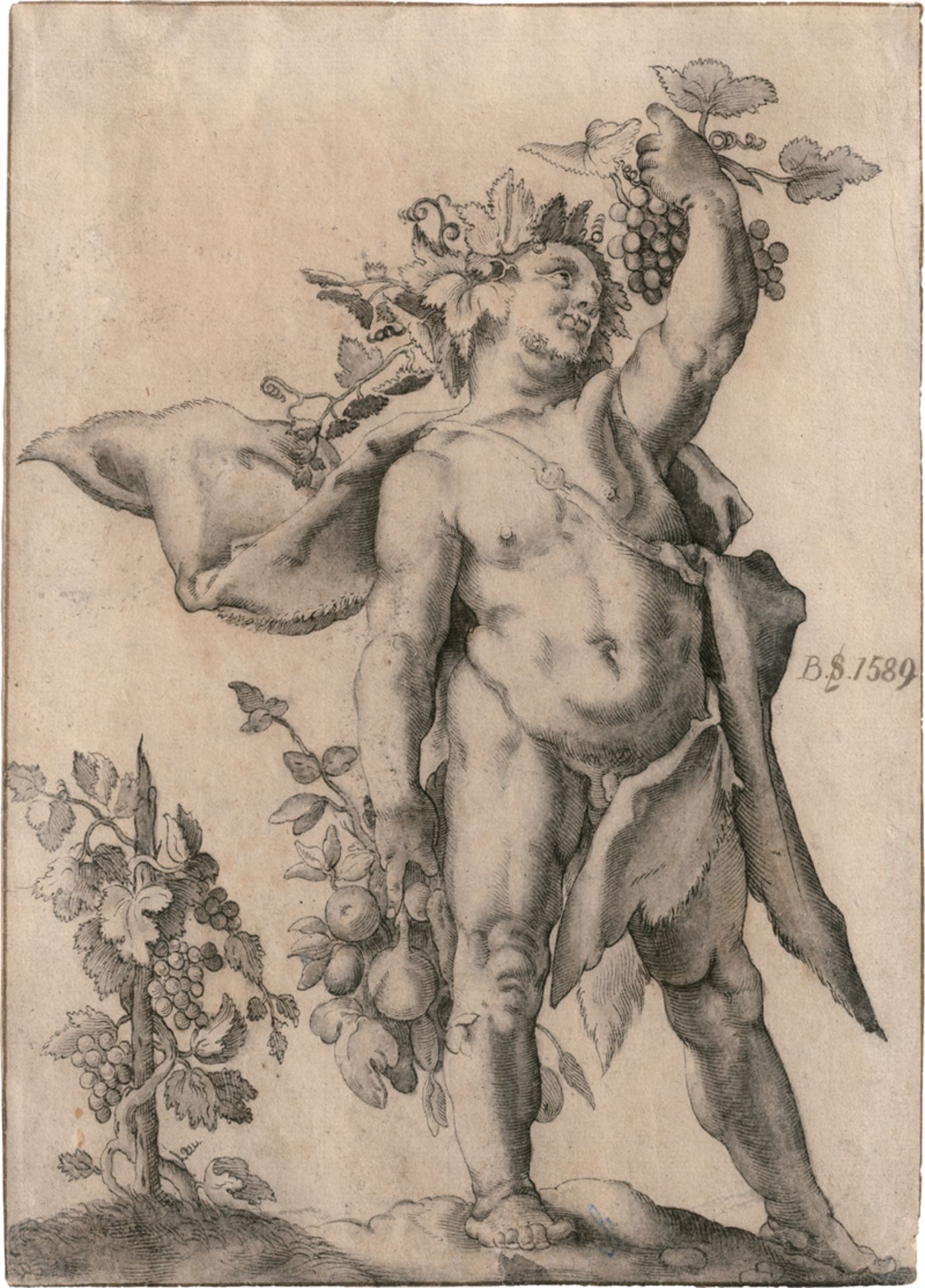 Goltzius, Hendrick - Nachfolge: Stehender Bacchus mit Trauben