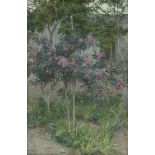 Cellini, Giuseppe: Park mit blühendem Oleander und Mimosen