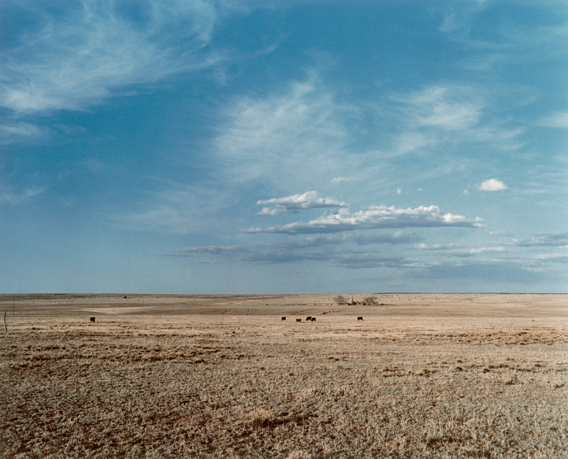 Wenders, Wim: Landscape. Near Sana Fé, New Mexico