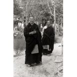 Siao, Eva: The 14th Dalai Lama (Tenzin Gyatso) in Norbulingka Park,...