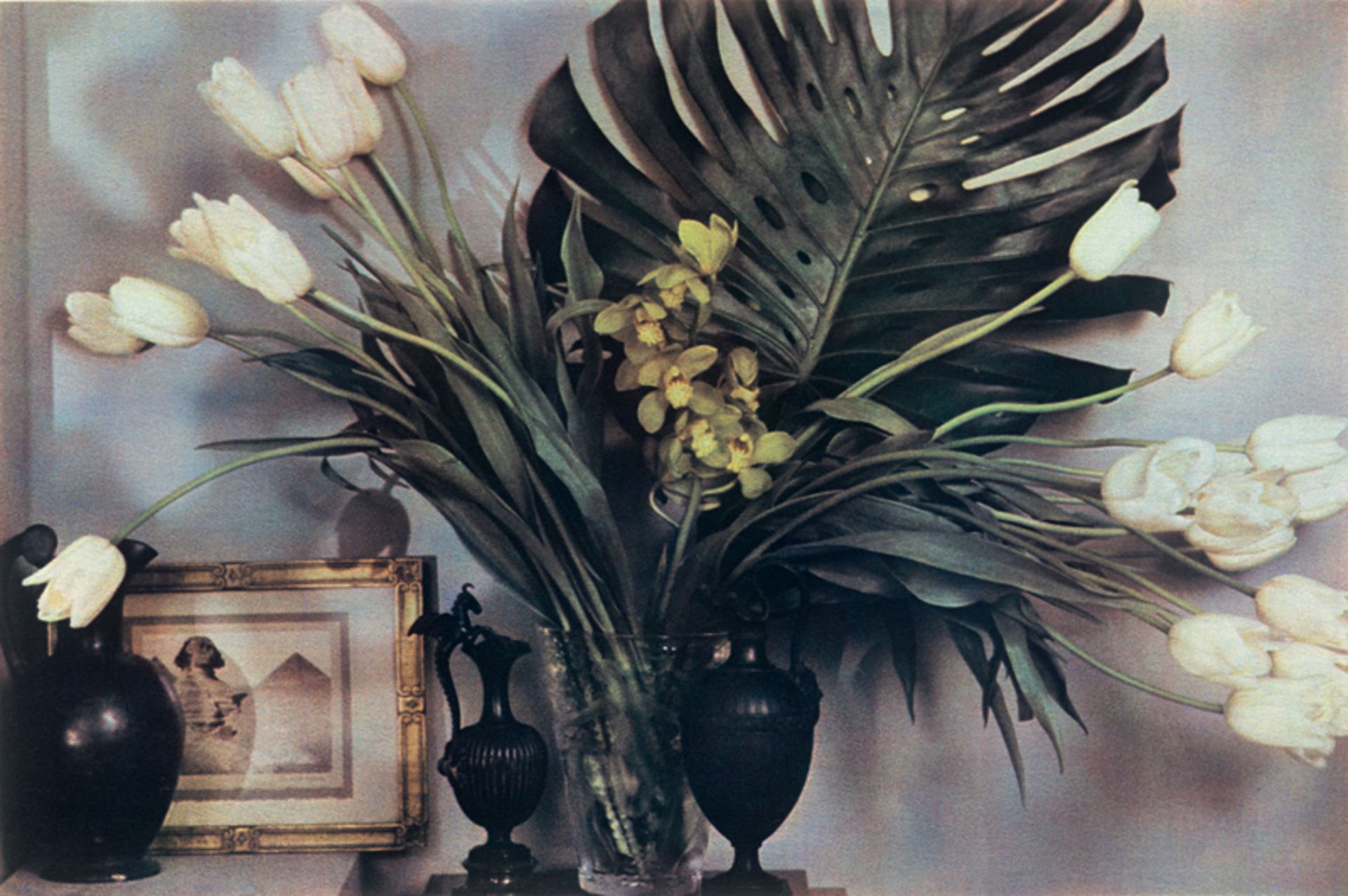 Metzner, Sheila: Still life with Gladiolas