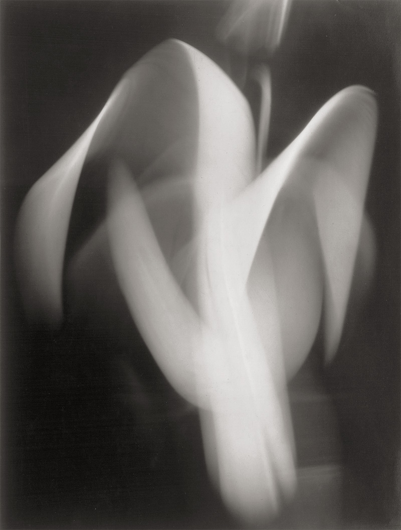 Quigley, Edward W.: Photogram