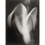 Quigley, Edward W.: Photogram