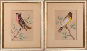 A pair of Victorian feather pictures of songbirds, second half 19th century; one with a pink breast,