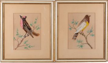 A pair of Victorian feather pictures of songbirds, second half 19th century; one with a pink breast,