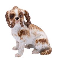 A Meissen porcelain Bolognese Terrier, modelled in seated posture, head turned to one side,