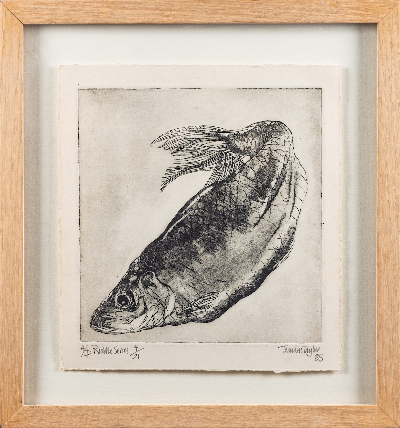 Tamaris Taylor (British, Contemporary) Riddle Series - fish Mezzotint 25. - Image 2 of 2