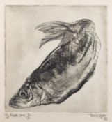 Tamaris Taylor (British, Contemporary) Riddle Series - fish Mezzotint 25.