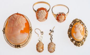 A collection of cameo brooches,