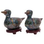 A pair of Chinese cloisonne duck censers and covers decorated with mythical birds and scrollwork on