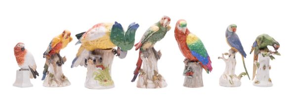 A large Continental figure of a parrot and six smaller figures of parrots or parakeets