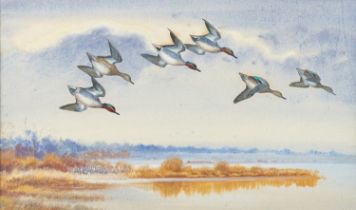 Philip Rickman (British, 1891-1982) 'Teal diving towards the water' Watercolour 25.