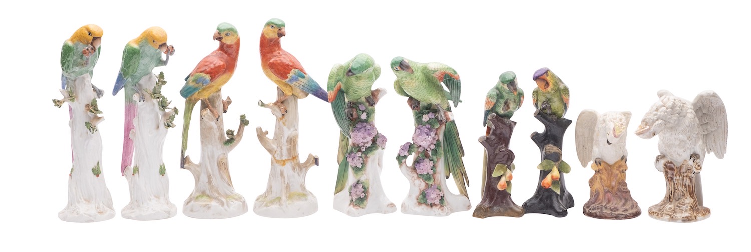 A group of five pairs of Continental figures of parrots and parakeets...