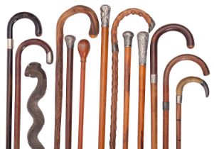 A collection of thirteen antique walking sticks and canes,