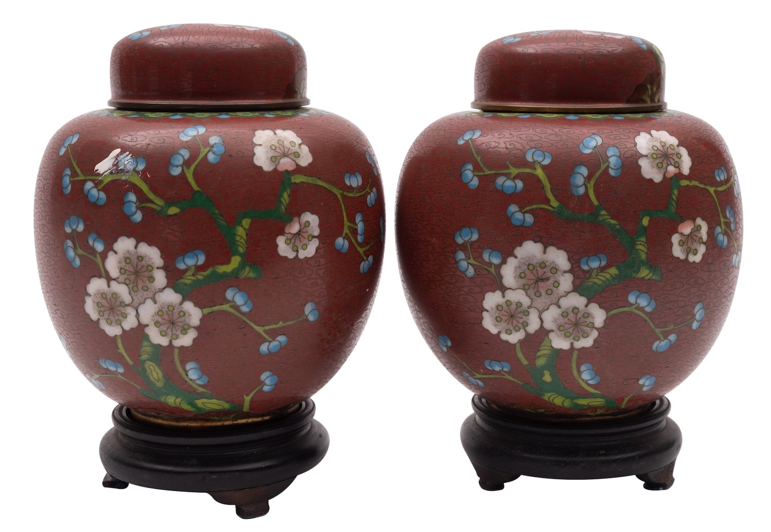 A pair of Chinese cloisonne ginger jars and covers decorated with fruiting and flowering prunus on