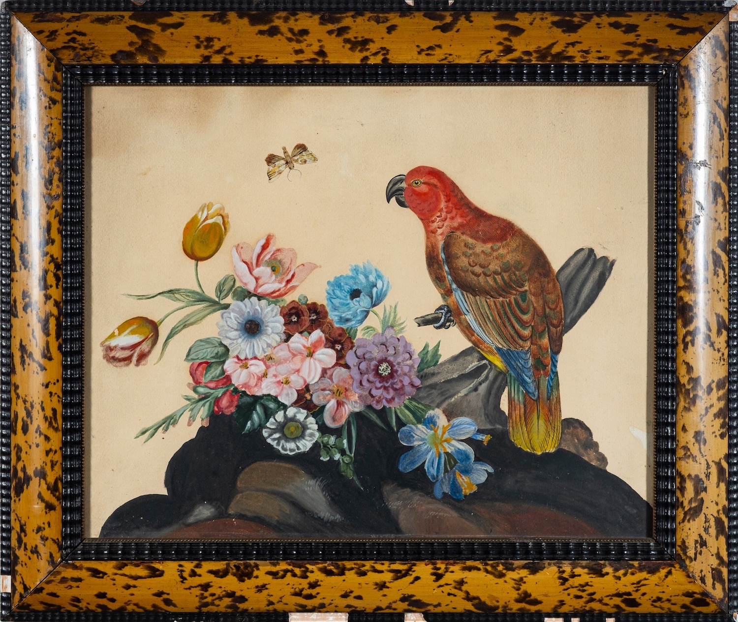 British School, 19th Century Parrot, - Image 2 of 2