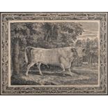 After Thomas Bewick (British, 1753-1828) The Chillingham Bull Engraving 19 x 24.