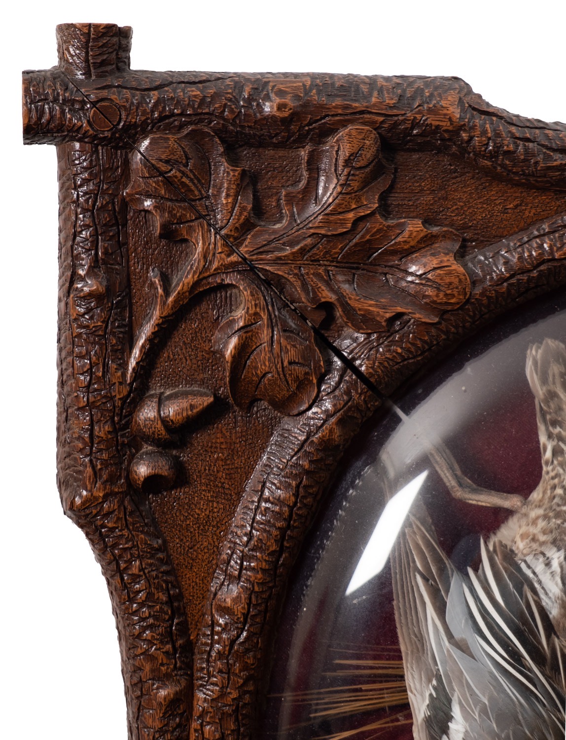 A pair of 'Black Forest' carved and stained oak framed game trophies, Dutch, - Image 4 of 6