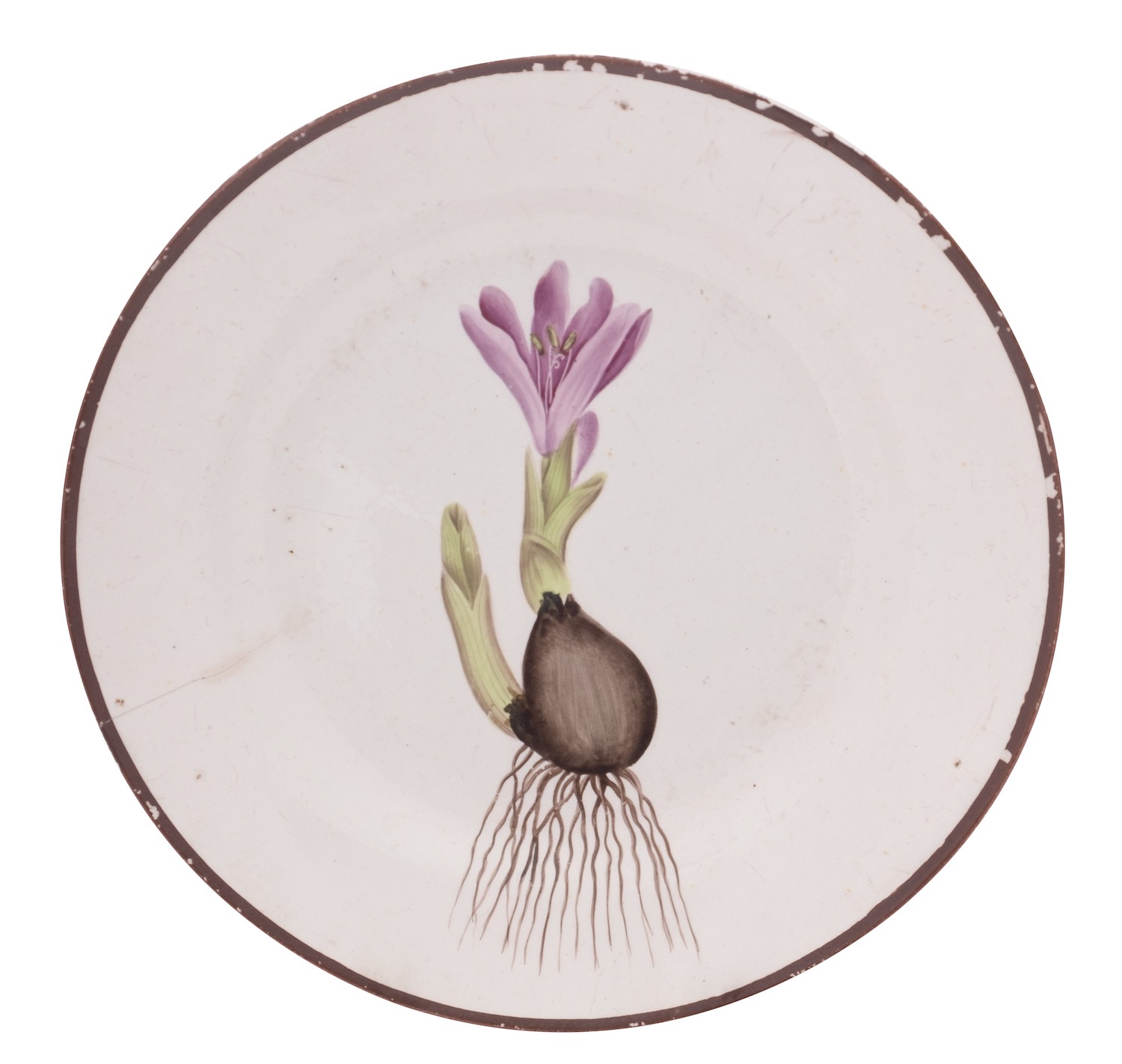 A Swansea pearlware named botanical plate painted in the manner of Thomas Pardoe with a flowering