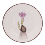 A Swansea pearlware named botanical plate painted in the manner of Thomas Pardoe with a flowering