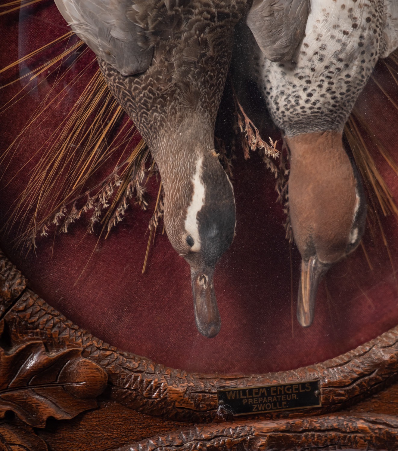 A pair of 'Black Forest' carved and stained oak framed game trophies, Dutch, - Image 3 of 6