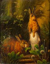British School, 20th Century Pair of rabbits among milkweed Oil on panel 21.