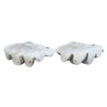 A pair of resin composition models of giant clam half-shells, modern; realistically rendered,