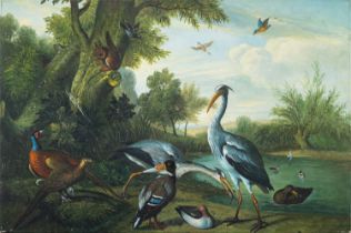 British School (19th Century) Compositions with herons, ducks and other birds,