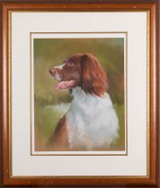 20th Century School Portrait of a dog