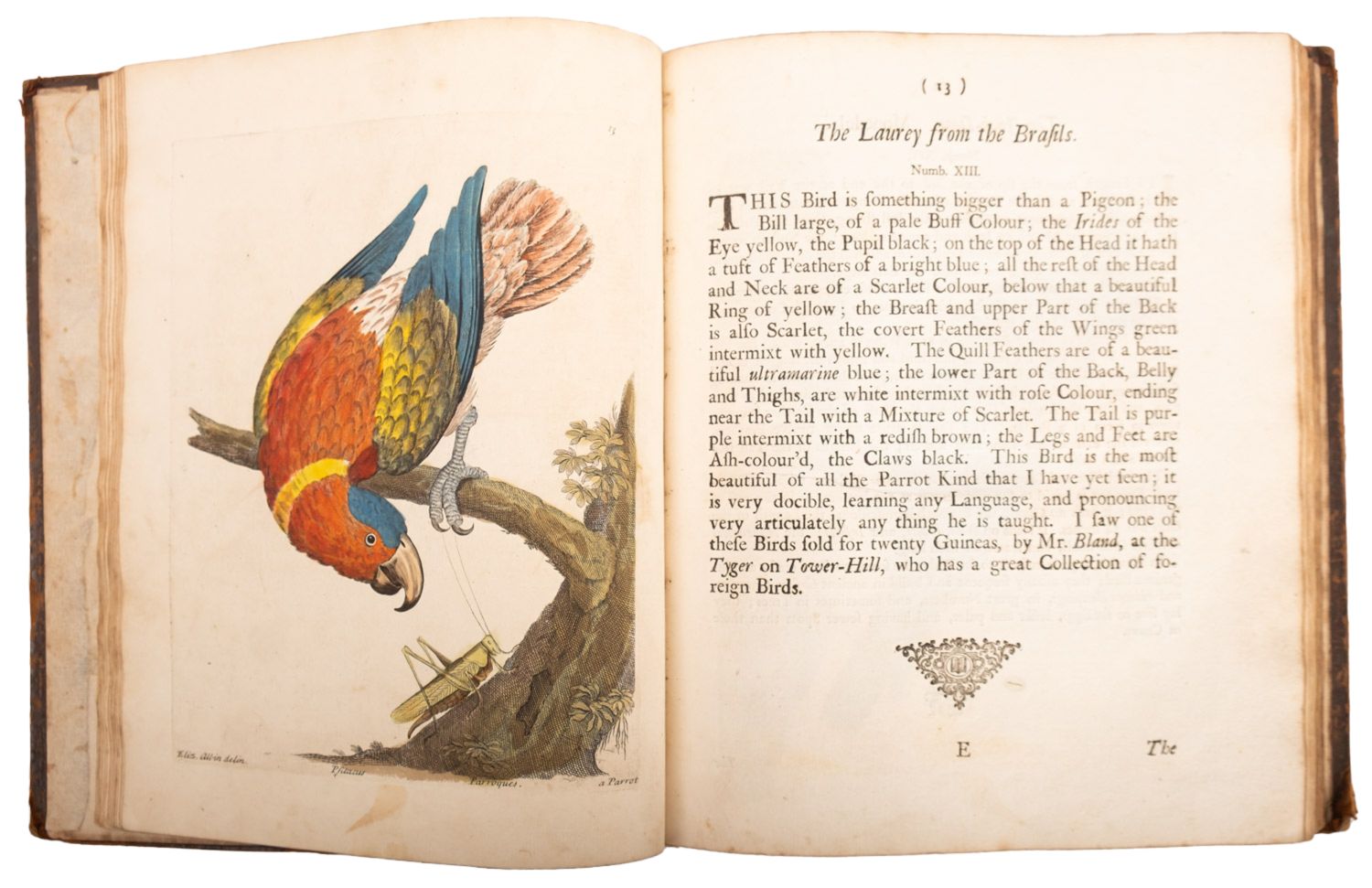 ALBIN, Eleazar. A Natural History of Birds, to which are added, Notes and Observations by W. - Image 3 of 208