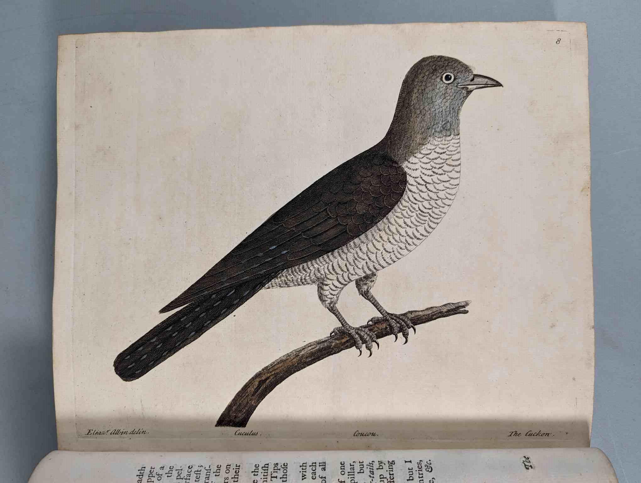 ALBIN, Eleazar. A Natural History of Birds, to which are added, Notes and Observations by W. - Image 7 of 208
