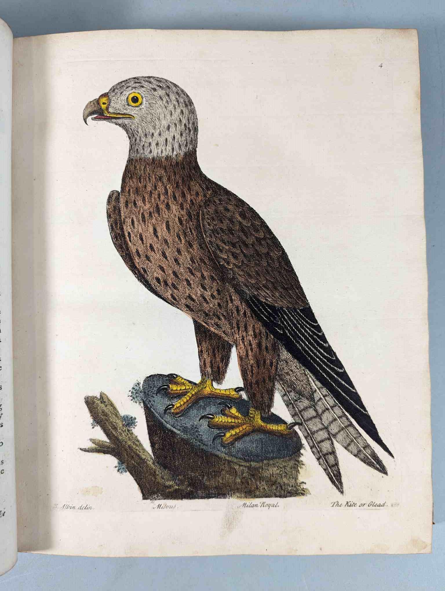 ALBIN, Eleazar. A Natural History of Birds, to which are added, Notes and Observations by W. - Image 11 of 208