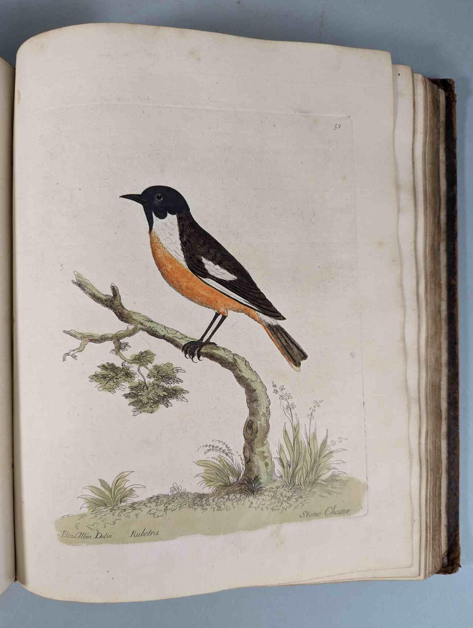 ALBIN, Eleazar. A Natural History of Birds, to which are added, Notes and Observations by W. - Image 55 of 208