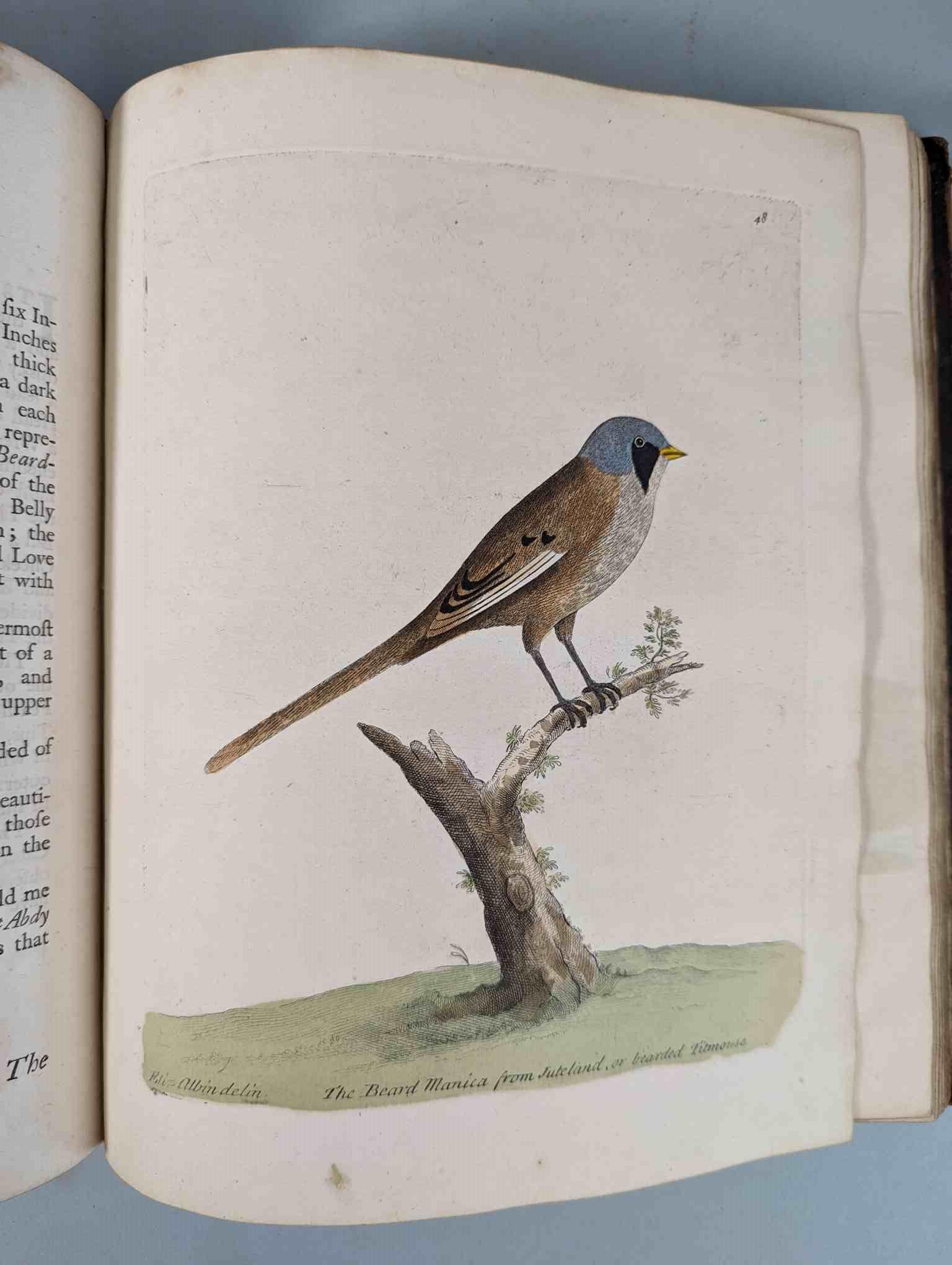 ALBIN, Eleazar. A Natural History of Birds, to which are added, Notes and Observations by W. - Image 51 of 208