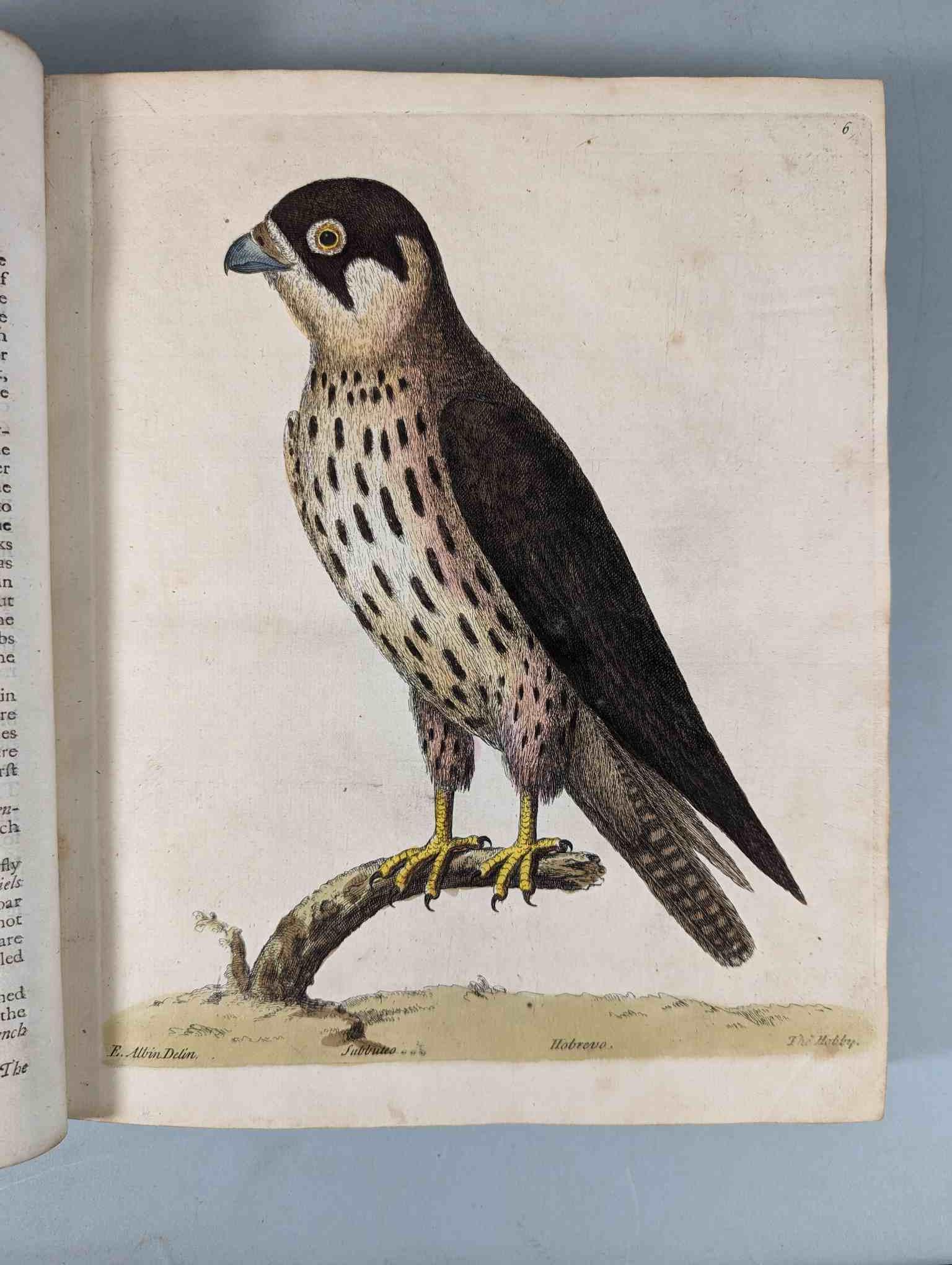 ALBIN, Eleazar. A Natural History of Birds, to which are added, Notes and Observations by W. - Image 5 of 208